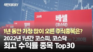 2022년 최고 수익률 종목 TOP30 | 1년간 가장 많이 오른 주식 종목 | 이차전지 관련주의 강세 지속