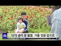 영산강 따라 축제 물결 넘실 뉴스투데이 2024.10.10 광주mbc