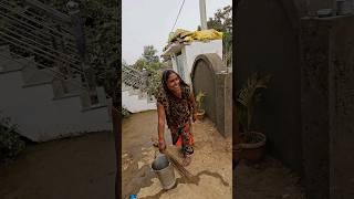 प्रिया भाभी बहुत ज्यादा खुश हैं #shorts #youtubeshorts #trending