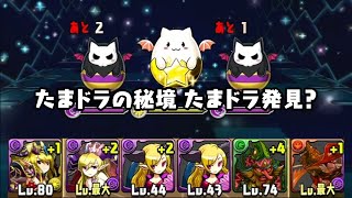 パズドラ たまドラの秘境 たまドラ発見？ 月光牙の魔女・リリス×覚醒幻神・オーディン