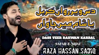 Das Veer Rahwan Karbal | Raza Hassan Sadiq | Hassan Sadiq 2022 |Live Noha Raza Hassan Sadiq | SHAAM