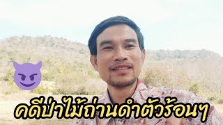 คดีป่าไม้ถ่านดำตัวร้อนๆ