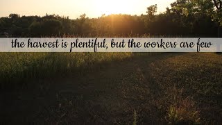 the harvest is plentiful, but the workers are few (my take on Matthew 9:37)