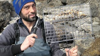 Una giornata di scogliera, tra pesca e cucina - CATCH and COOK - SUB ENG