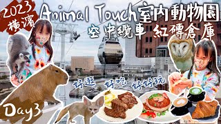 2023橫濱市區這樣玩～｜Animal touch港未來室內動物園、空中纜車、紅磚倉庫，有得吃有得玩！｜Day 3