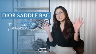 CHOOSEDAY #11: REVIEW TAS FAVORIT YBGSISTERS, DIOR SADDLE BAG ! PERNAH DIPAKE DI FILM SEX & THE CITY