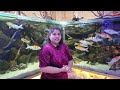 show fish tanks at blessings aquarium