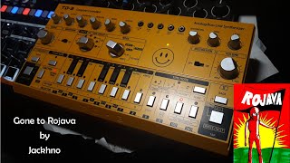 TD3 x Drumbrute Impact x Novation Circuit | Gone to Rojava by Jackhno | Deep Acid House Groove
