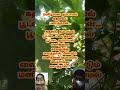 தத்துவங்கள் tamil tamilmotivation viral