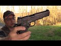 sig sauer 1911 we the people air pistol