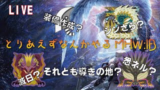 【PC版MHW:IB】久々のモンハン！何するか迷う！【雑談】