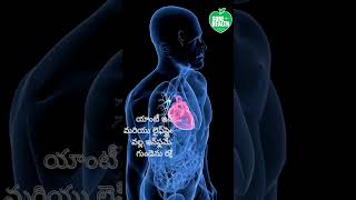 గుండె జబ్బులు మరియు వాపు/Heart Disease and Inflammation #healthsecrets #healthyhearttips #heart