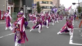 おず　2014　よさこい東海道　本祭　上本演舞場