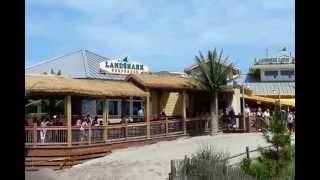 Atlantic City Boardwalk - Jimmy Buffett's Margaritaville and Land Shark Bar