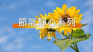 小暑靜心 l 節氣靜心系列16 ＃光的課程初階一線上共修班2024/8/06開課，洽詢信箱 hsingyu.com@gmail.com