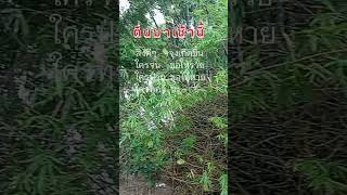 #music ความสุขของชีวิต #ช่องจริงยายไอซ์ช่องนี้ช่องเดียว #love #challenge