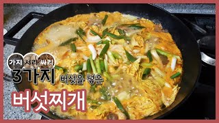 [자급자족먹거리] 3가지 야생버섯으로 버섯찌개 만들기 (서리버섯, 가지버섯, 싸리버섯)