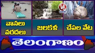 Bhainsa Rains | Etela Comments On KCR | Fishes - Rain Water | V6 Telanganam