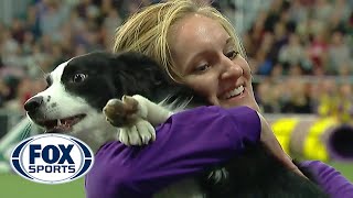 P!nk the border collie wins back-to-back titles at the 2019 WKC Masters Agility