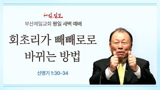 [4단계회개] 25년 01월 15일 수요일 새벽