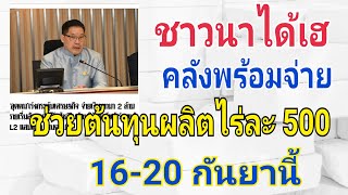 จ่ายเงินช่วยต้นทุนการผลิตไร่ละ 500 (15 ก.ย.2562)