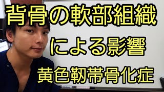 滋賀県草津より【腰痛】情報をお届け！背骨の軟部組織による影響