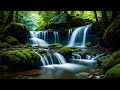 Heartfelt Calm 528 Hz + 741 Hz Nature Sounds for Stress Relief