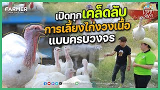 ไก่งวง..!! สัตว์เศรษฐกิจทางเลือกของเกษตรกร อาชีพที่เพิ่มรายได้ | เกษตรสัญจร