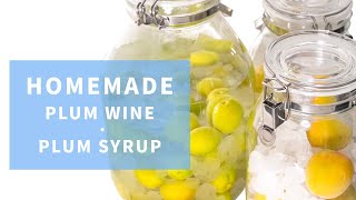 ENG) Japanese Plum Wine \u0026 Plum Syrup Recipe | 梅酒・梅シロップの作り方 | 매실주・매실청 만들기