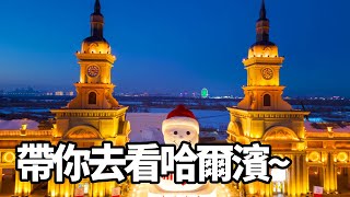 大海去旅行开播了