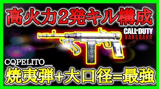 【CoD:V】新武器SMG『H4 BLIXEN』最大火力構成!!無ブレで2発が可能!!この武器をかけて環境壊れちゃったw【CoDヴァンガード】【コールオブデューティヴァンガード】