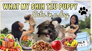 HEALTHY FOOD FOR SHIH TZU PUPPIES | BEST DOG FOOD FOR SHIH TZU | WHAT MY SHIH TZU PUPPY EATS