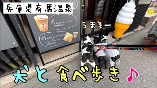 【犬とおでかけ】有馬温泉で犬と一緒に食べ歩きしてきた！