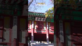 [Templestay] Jeondeungsa 전등사 템플스테이