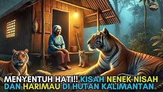 MENYENTUH HATI!! KISAH NENEK NISAH DAN HARIMAU DI HUTAN KALIMANTAN