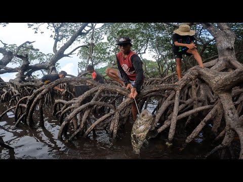 Grabi ang Daming Isda Dito na Nahibasan