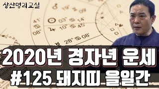 경자년운세 #125 - 돼지띠 을일간