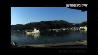 [VM0409A]_100501_宮城県女川町01_指ヶ浜_御前浜_尾浦_鯛ノ浜_竹浦