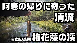 阿寒の帰りに寄った清流 梅花藻の渓【渓流釣り】