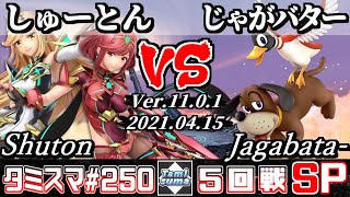 【スマブラSP】タミスマSP250 5回戦 しゅーとん(ホムラ/ヒカリ) VS じゃがバター(ダックハント) - オンライン大会