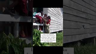 Guru Inspiratif Yang Rela Mengajar Dipedalaman Guru Viral 2024 Guru