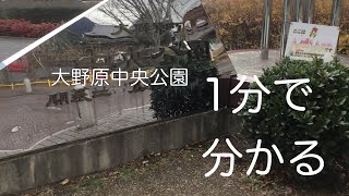 Aランク車中泊スポット　大野原中央公園　車中泊　香川県　観音寺市　お風呂　温泉　買い物　野宿　#88