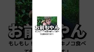 【神回】おバカな殿堂入りボケてに精一杯アフレコしてツッコんでみたｗｗｗ