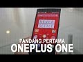 Pandang Pertama : OnePlus One