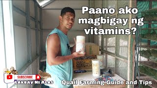 Quail Farming | Paano ako magbigay ng Vitamins sa mga pugo? | Quail Farming Guide and Tips