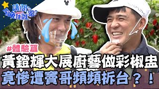 阿輝上菜！黃鐙輝大展廚藝做「彩椒盅」 遭竇哥狂拆台？【請問 今晚住誰家】體驗篇 20220314 EP507 Part3 竇智孔 黃鐙輝