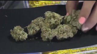 Local communities make decisions on recreational marijuana