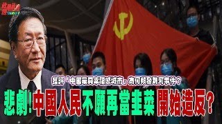 程曉農聊天室：悲劇中國人民不願再當韭菜開始造反? 獲評「中國最具幸福感城市」為何頻發跳河事件?