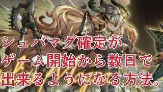 誰でも簡単にシュバマグを確定する方法【グラブル】