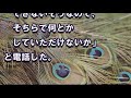 【スカッとする話 嫁姑】「孫のものは私のもの、コトメ子に孫の晴れ着をよこしなさい」と言うトメ。コトメのトメさんにそのままスルーパスしてみたwww【デイリー スカッと】